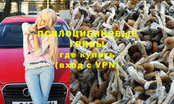 трава Алзамай