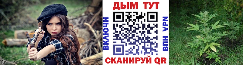 где можно купить   площадка официальный сайт  Бошки марихуана сатива  Кадников 